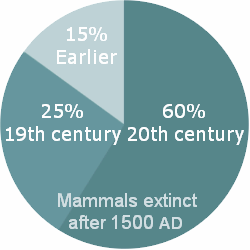 [Image: mammals_extinct.png?w=250&h=250]